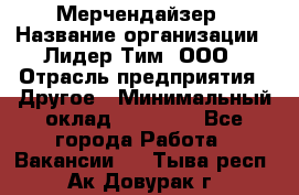 Мерчендайзер › Название организации ­ Лидер Тим, ООО › Отрасль предприятия ­ Другое › Минимальный оклад ­ 27 000 - Все города Работа » Вакансии   . Тыва респ.,Ак-Довурак г.